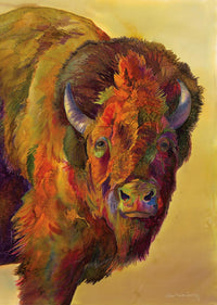 Tatonka - Cawdrey Gallery