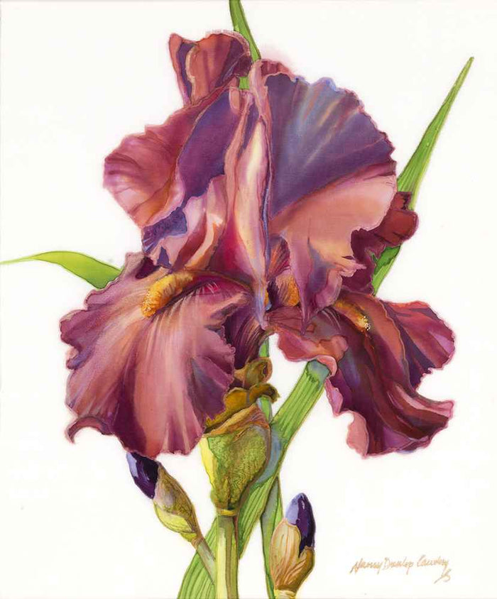 New Century (Giclée)