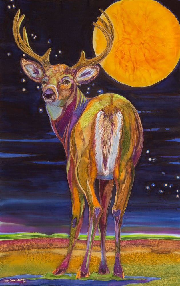 Forever Glacier: Odocoileus virginianus (Giclée)