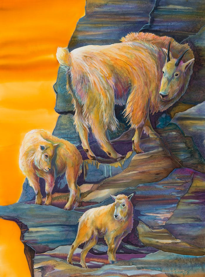 Forever Glacier: Oreamnos americanus (Giclée)