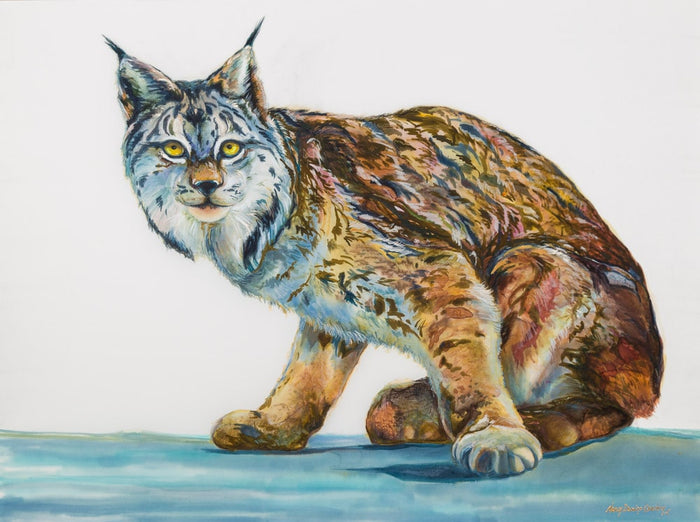Forever Glacier: Lynx canadensis (Giclée) - Cawdrey Gallery