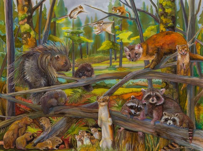 Forever Glacier: Small Mammals of the Old Growth Forest (Giclée)